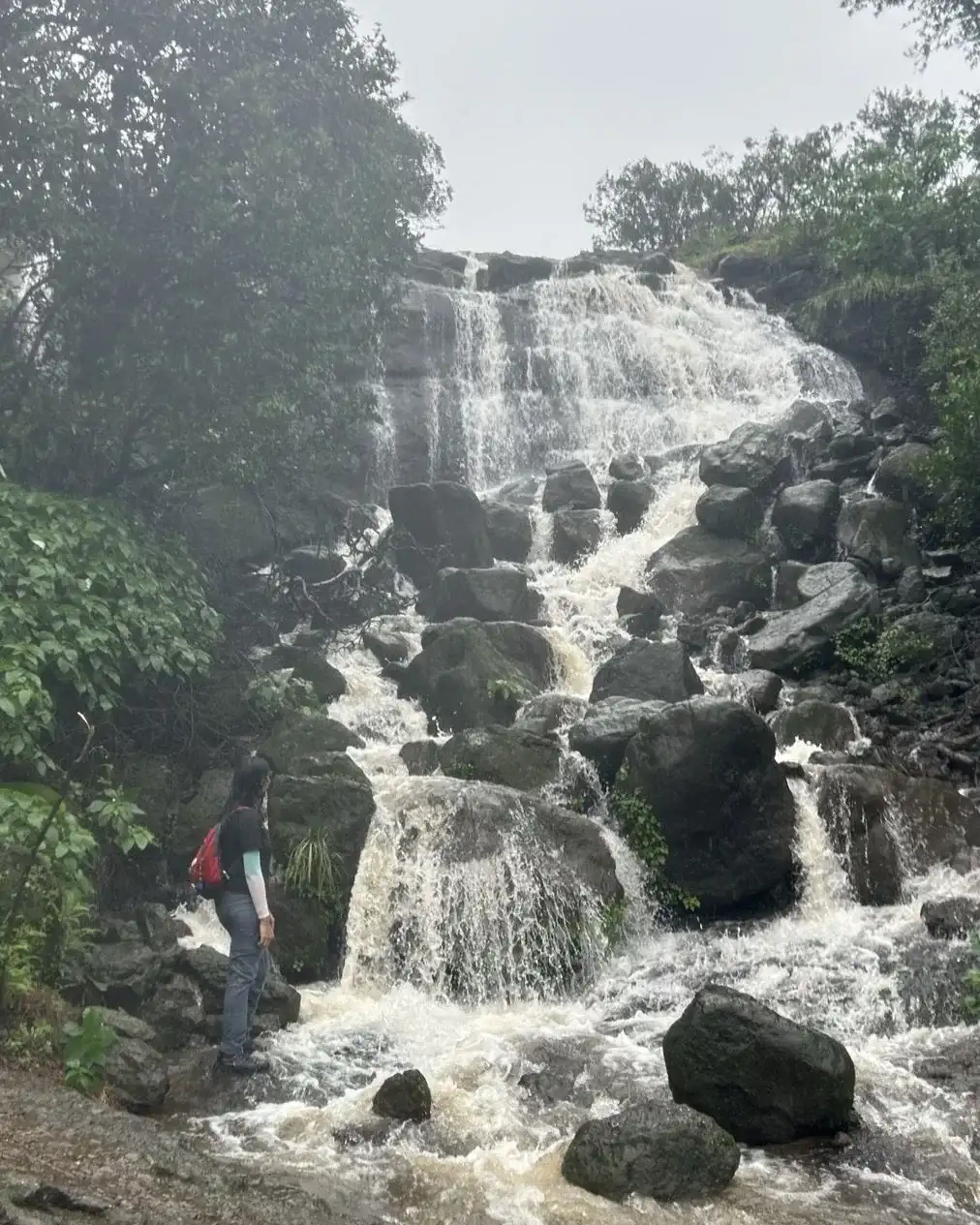 Bhimashankar to Bhorgiri Forest Trail