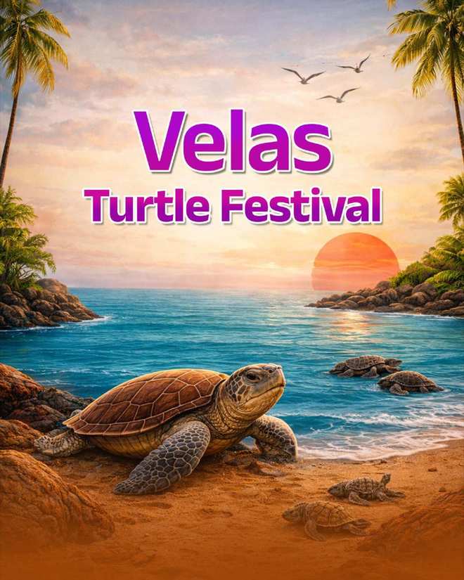 Velas Turtle Festival trek brochure poster